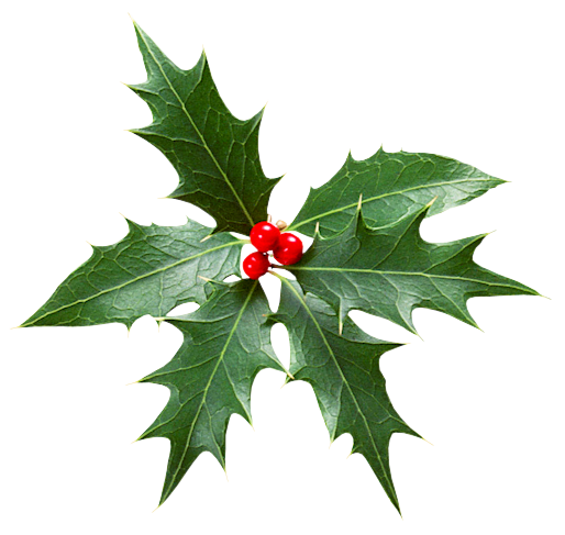 DÃ©cor de NoÃ«l